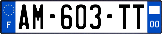 AM-603-TT
