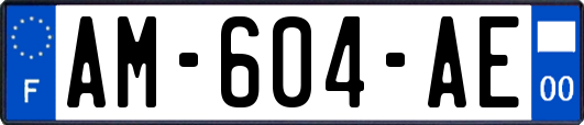 AM-604-AE