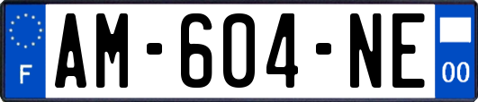 AM-604-NE