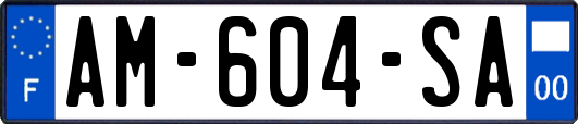 AM-604-SA