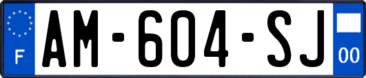AM-604-SJ