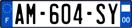AM-604-SY