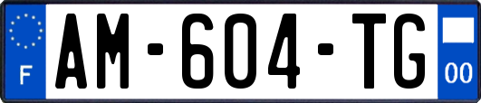 AM-604-TG
