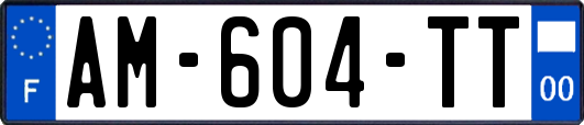 AM-604-TT