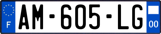 AM-605-LG
