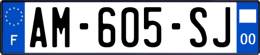 AM-605-SJ