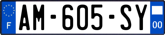 AM-605-SY