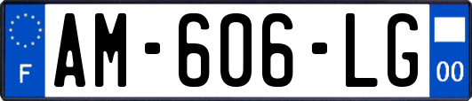 AM-606-LG