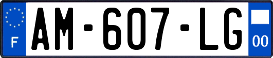 AM-607-LG