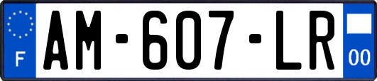 AM-607-LR