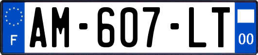 AM-607-LT