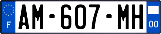 AM-607-MH