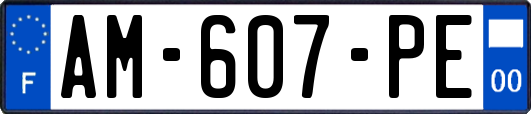 AM-607-PE