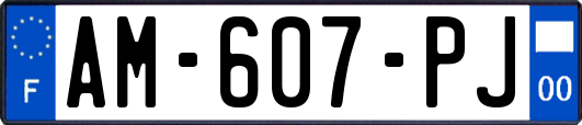 AM-607-PJ