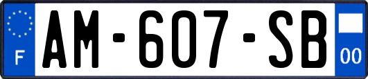 AM-607-SB