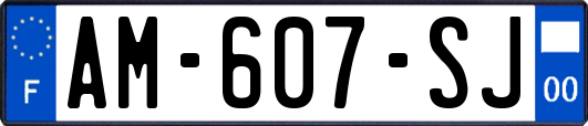 AM-607-SJ