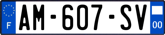 AM-607-SV