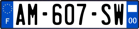 AM-607-SW