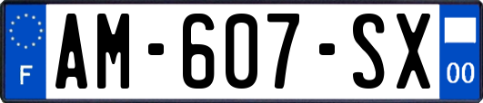 AM-607-SX