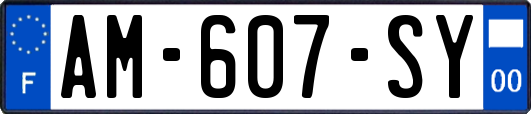 AM-607-SY
