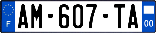 AM-607-TA