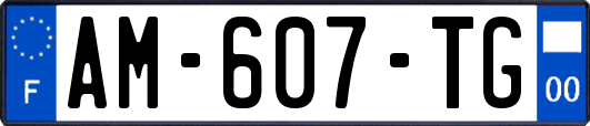 AM-607-TG