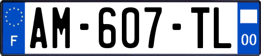 AM-607-TL