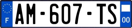 AM-607-TS