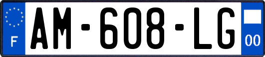 AM-608-LG