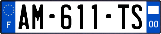 AM-611-TS