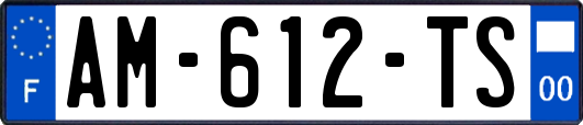 AM-612-TS
