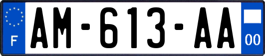 AM-613-AA