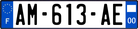 AM-613-AE