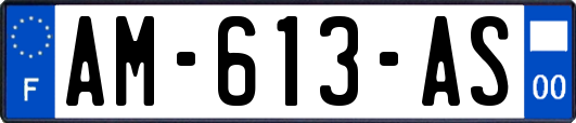 AM-613-AS