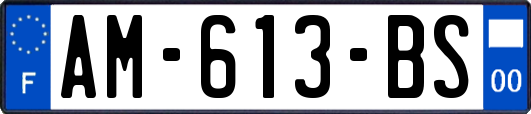 AM-613-BS