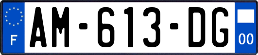 AM-613-DG