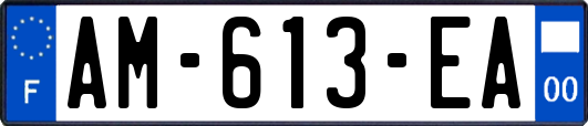 AM-613-EA