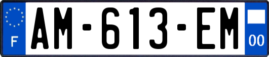 AM-613-EM