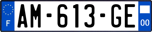 AM-613-GE