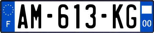 AM-613-KG