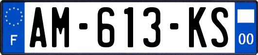 AM-613-KS