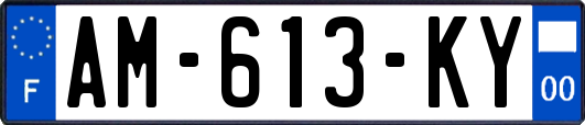 AM-613-KY