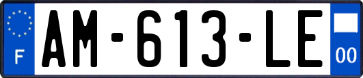 AM-613-LE