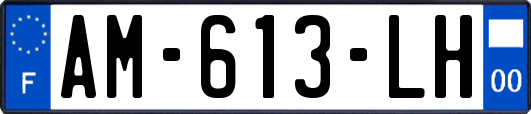AM-613-LH