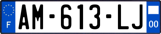 AM-613-LJ