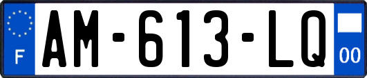 AM-613-LQ