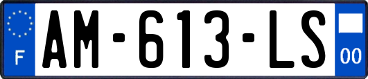 AM-613-LS
