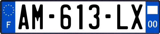 AM-613-LX