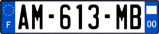 AM-613-MB