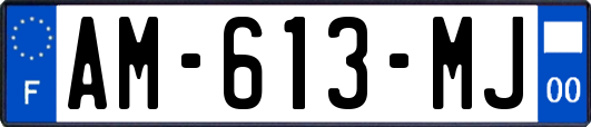 AM-613-MJ